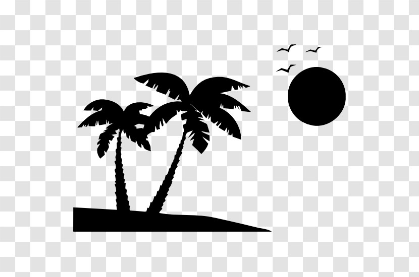 Palm Tree Transparent PNG