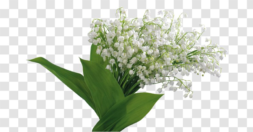 Цветы Landishi Lily Of The Valley Photography - Floral Design Transparent PNG