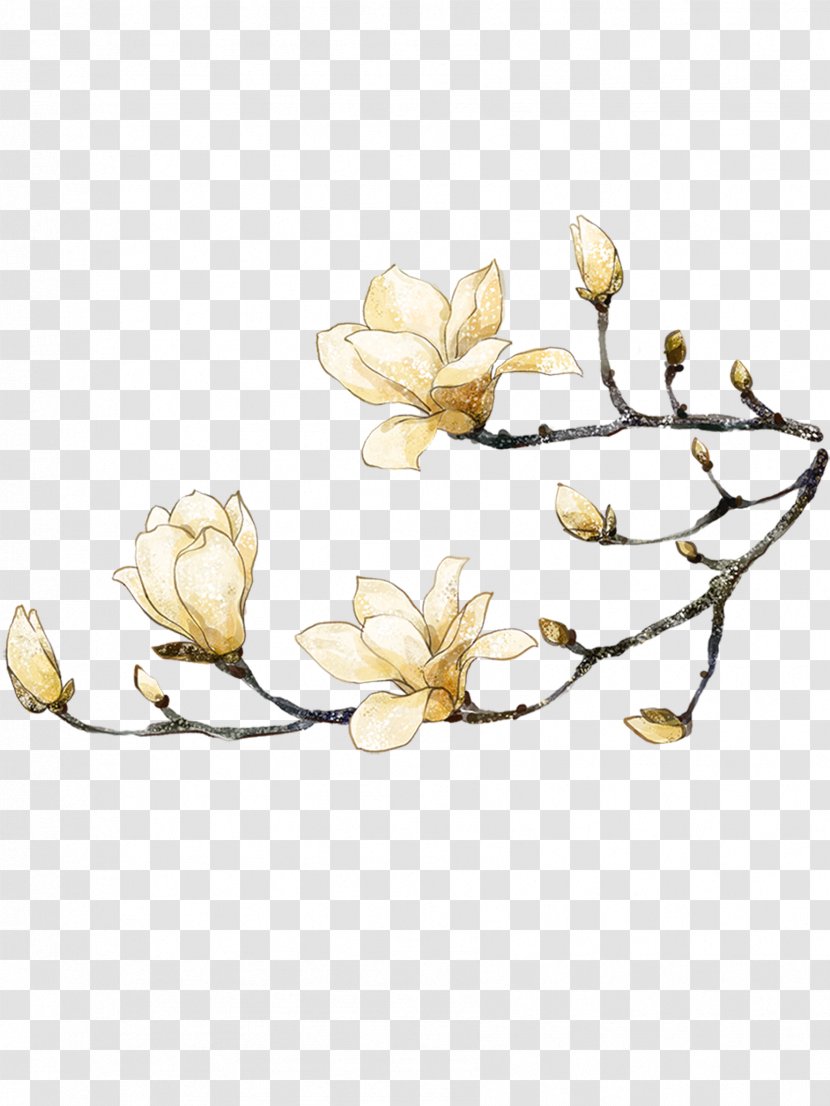 Clip Art Image Yulan Magnolia Design - Cut Flowers - Chengdu China Transparent PNG