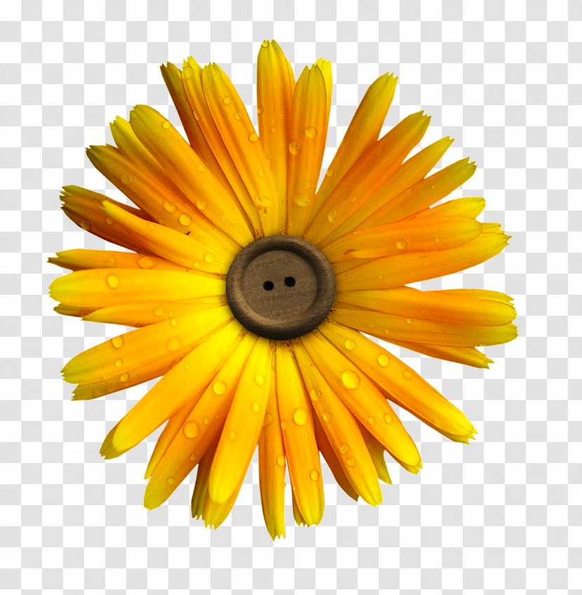 Flower Yellow Clip Art - Rar - Flowers Inside Buttons Transparent PNG