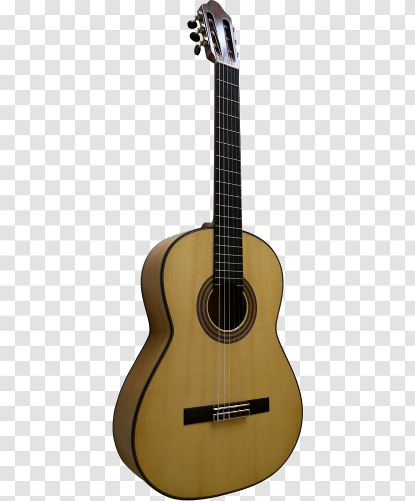 Acoustic Guitar Ukulele Tiple Cuatro Bass - Flower Transparent PNG