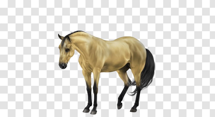 Mane Mustang Stallion Foal Mare - Colt - Gold Horse Transparent PNG