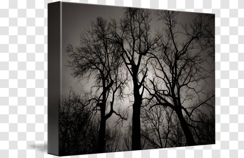 Still Life Photography Desktop Wallpaper Picture Frames Stock - Wood Transparent PNG