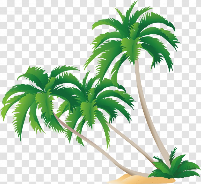 High-definition Video Display Resolution Wallpaper - Grass - Green Coconut Tree Vector Transparent PNG