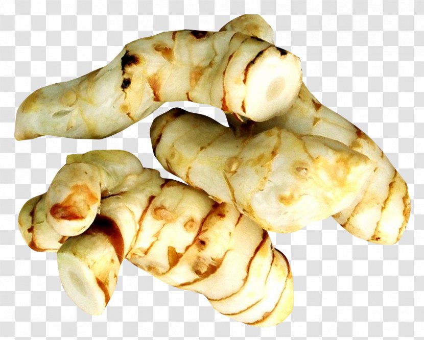 Ginger Ingredient Galangal - Cuisine Transparent PNG