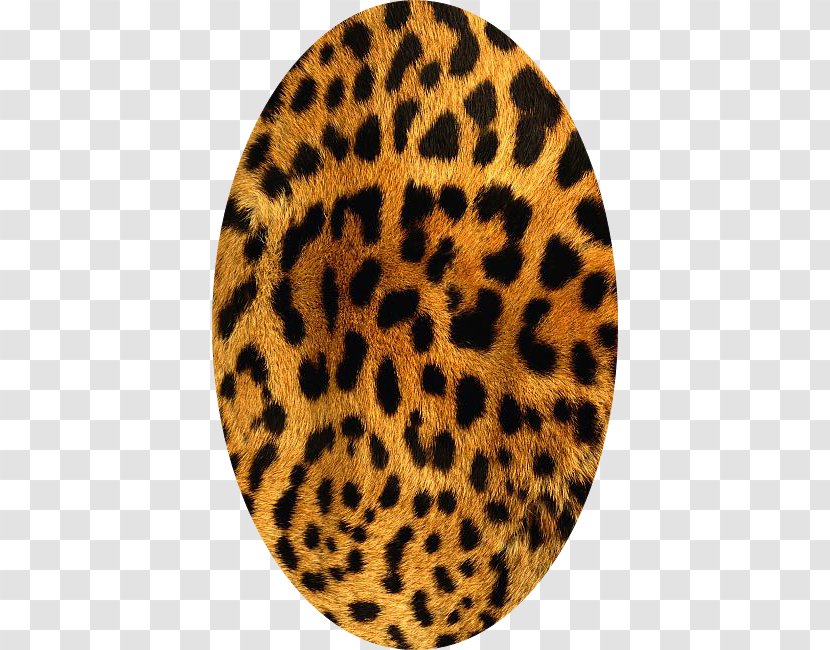 Tiger Leopard Animal Print Cheetah Giraffe - Printing Transparent PNG