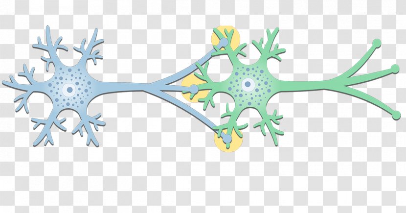 Electrical Synapse Neuron Gap Junction Postsynaptic Potential - Silhouette Transparent PNG