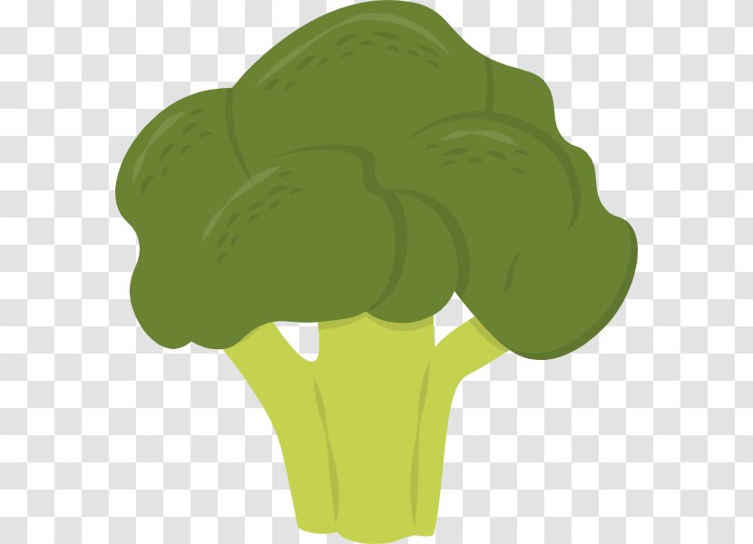 Vegetable Greens Illustration Clip Art Vector Graphics - Lettuce Transparent PNG
