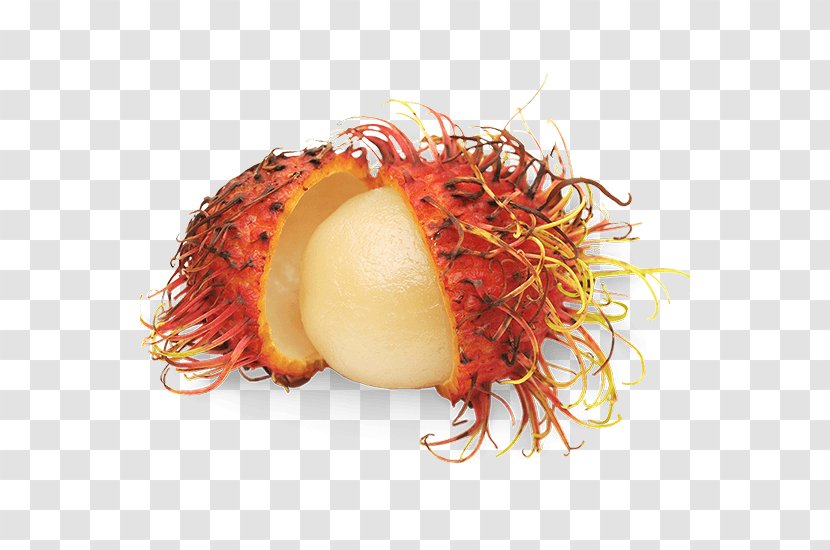 Fruit Rambutan Vegetable Food Chives Transparent PNG