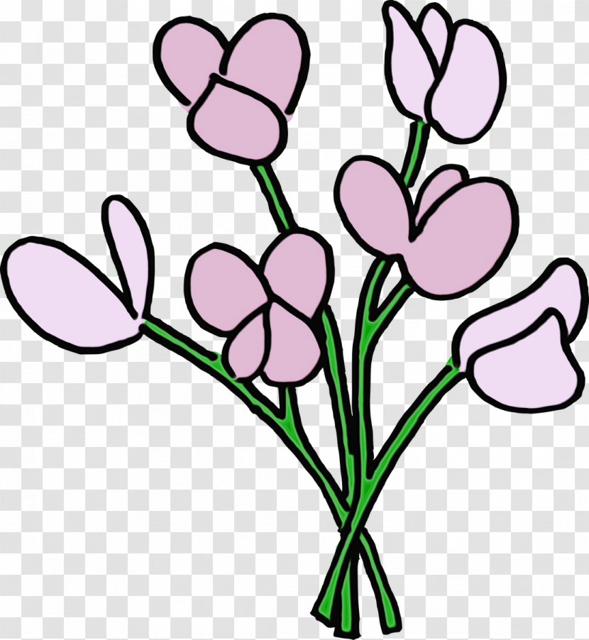 Sweet Pea Flower - Lily - Line Art Plant Transparent PNG