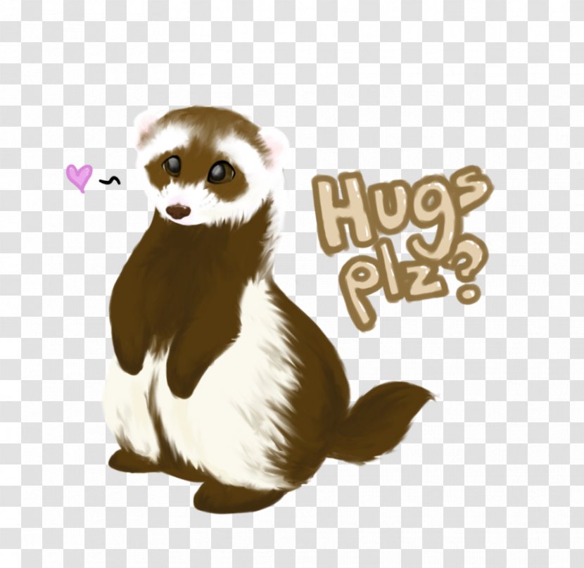 Ferret Beaver Cat Hug Mustelids - Organism - Sb.'s Transparent PNG