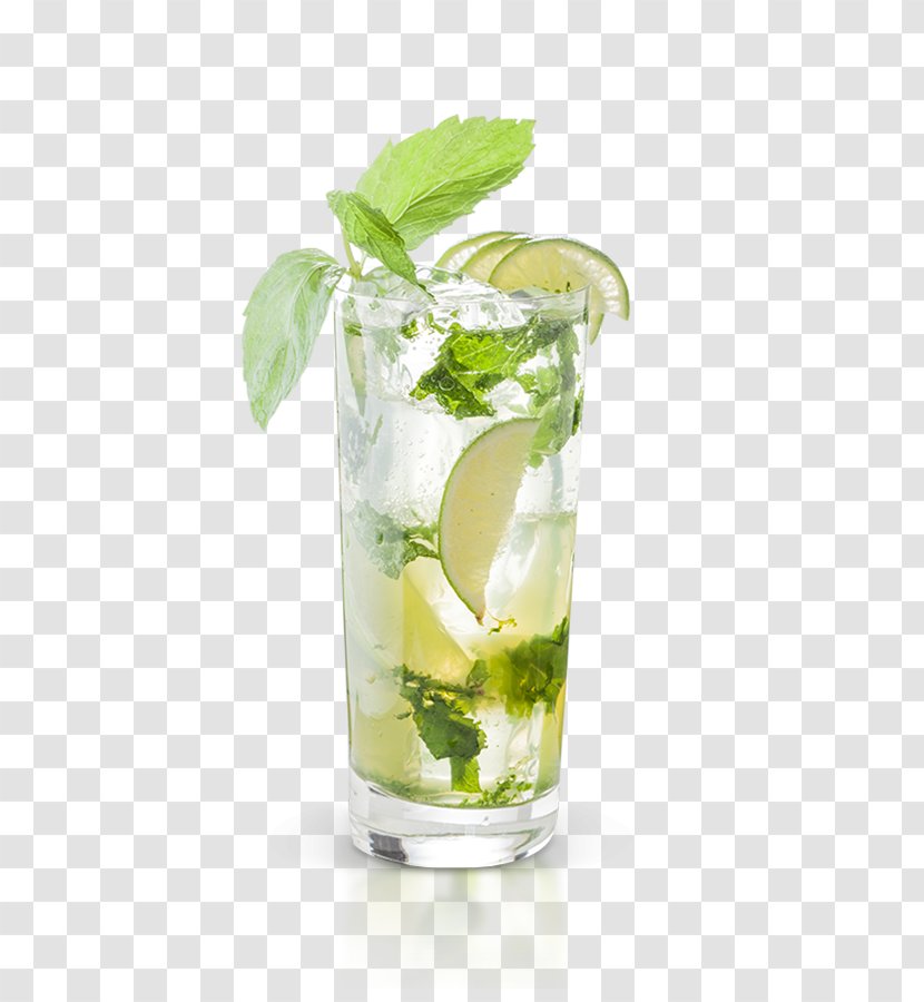 Mojito Lime Lemonade Sea Breeze Vodka Tonic - Rebujito Transparent PNG