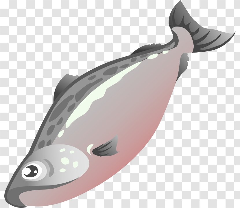 Salmon Fish Clip Art - Color - Cute Cliparts Transparent PNG