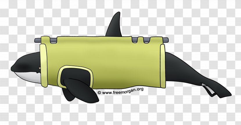 Loro Parque Killer Whale Free Morgan Foundation Marine Mammal - Automotive Design Transparent PNG