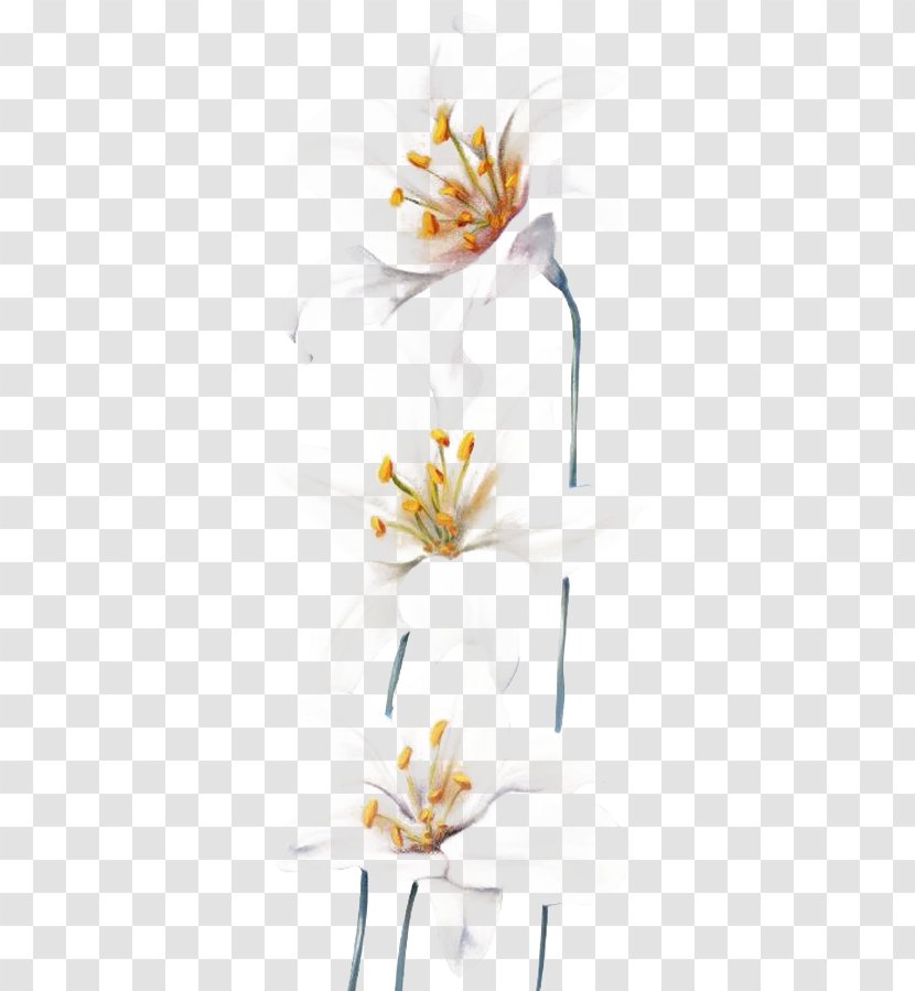 Lilium Flower Gratis - Flowering Plant - Hand-painted Lily Transparent PNG
