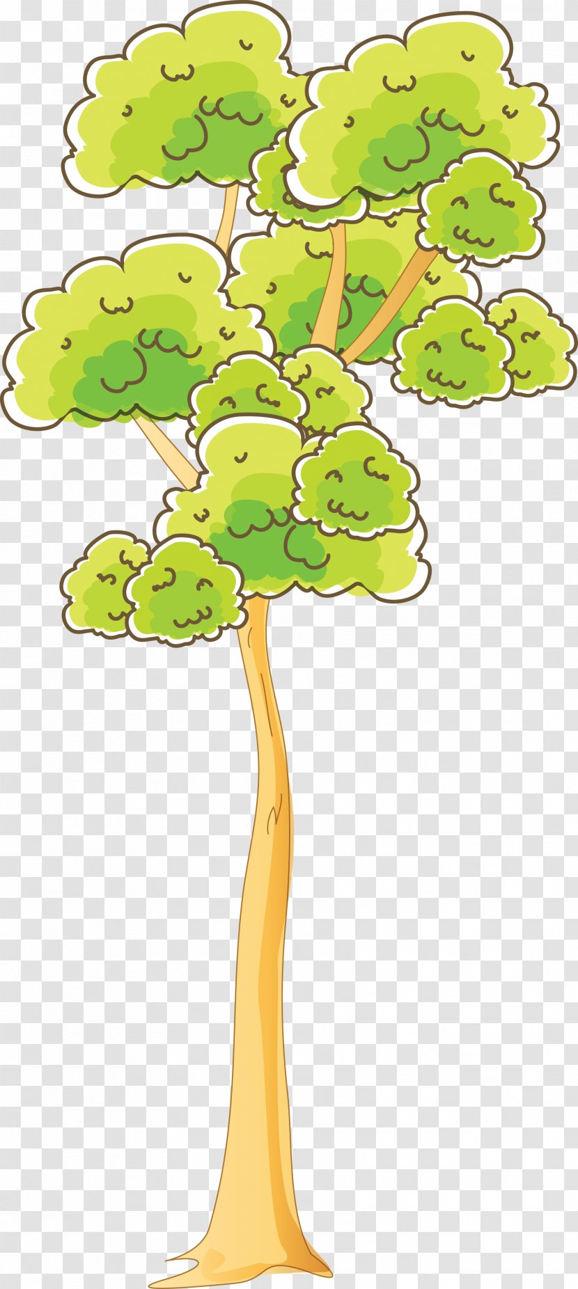 Tree Woody Plant Branch Clip Art Transparent PNG