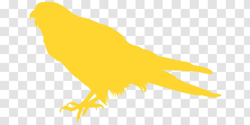 Bird Yellow Beak Claw Canary - Songbird Tail Transparent PNG