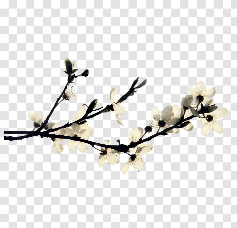 Haixihai Reservoir Ink Wash Painting - Watercolor - White Pear Flower Branches Transparent PNG