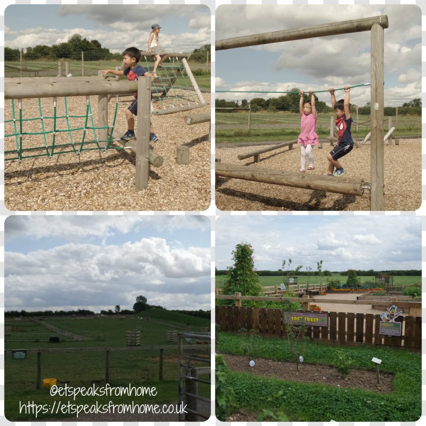 National Forest Adventure Farm Burton Upon Trent Park Public Space Playground - Et The Extraterrestrial - Play Area Transparent PNG