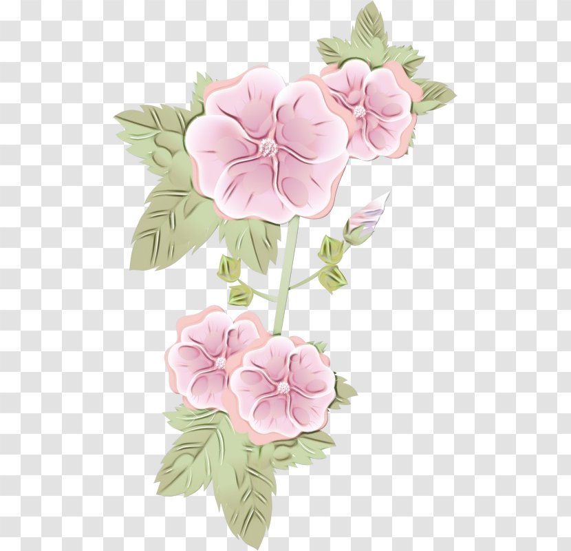 Floral Design - Flower - Geranium Impatiens Transparent PNG