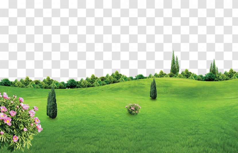 Lichun Poster - Biome - Spring New Green Background Effect Transparent PNG