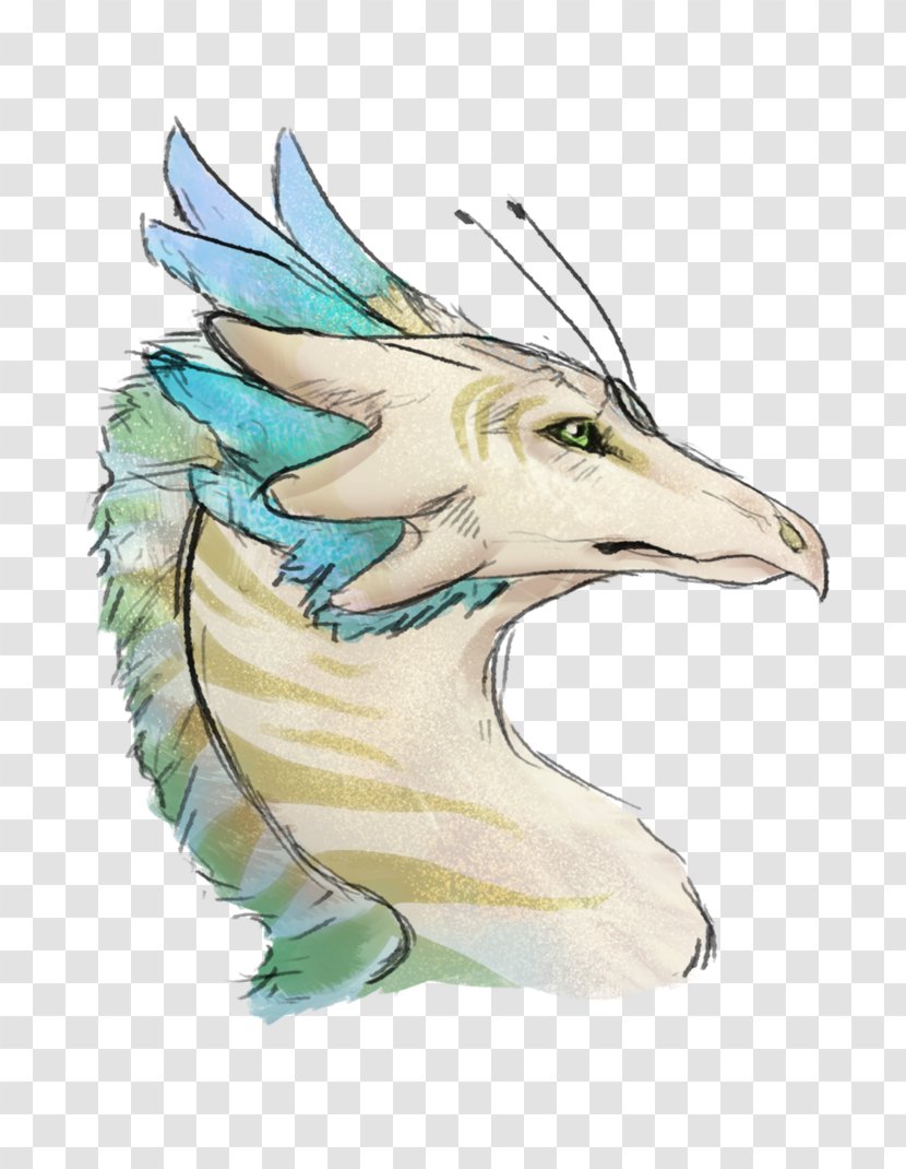 Beak Bird Dragon Feather Transparent PNG