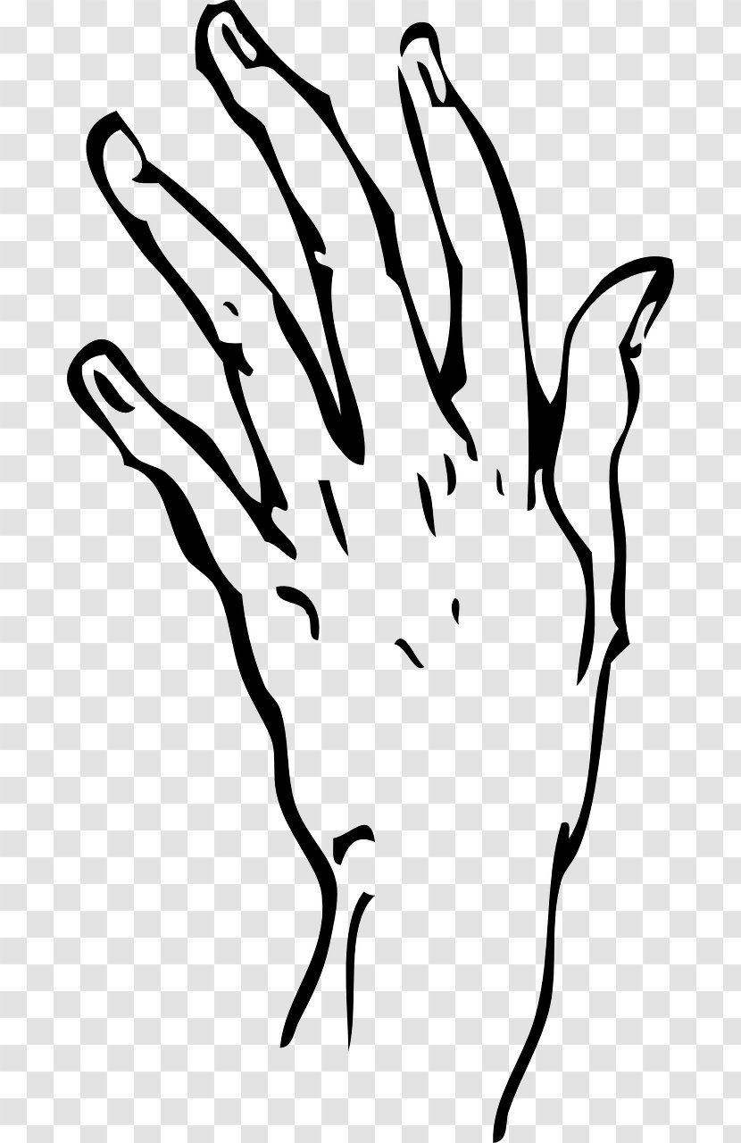 Thumb Hand Finger Clip Art - Human Body Transparent PNG