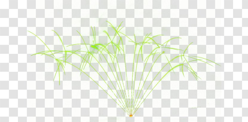 Green Leaf Pattern - Grass - Fireworks Transparent PNG