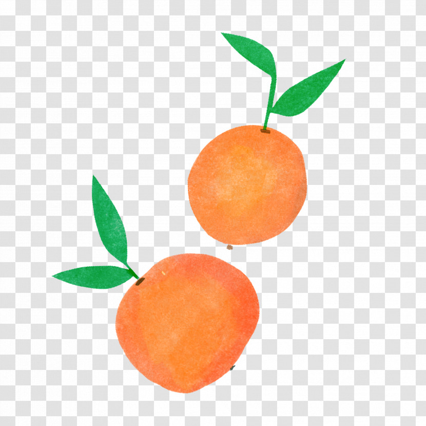 Orange Transparent PNG