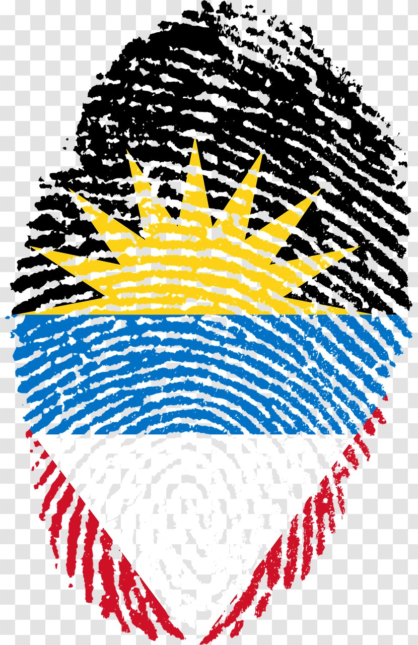 Flag Of Antigua And Barbuda Sudan Ghana Haiti - Tree - Fingerprint Transparent PNG