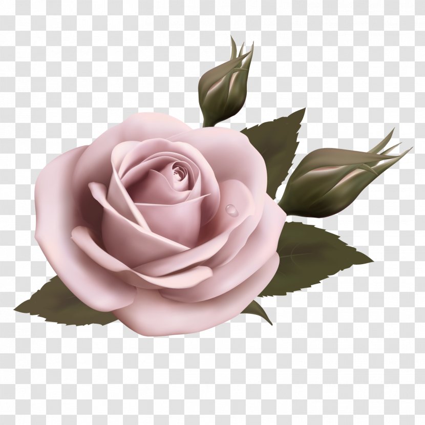 Flower Clip Art - Flowering Plant - Pink Roses Transparent PNG