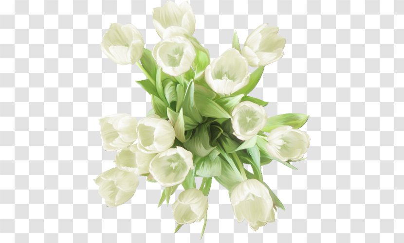 Garden Roses Carnation Flower White - Color Transparent PNG