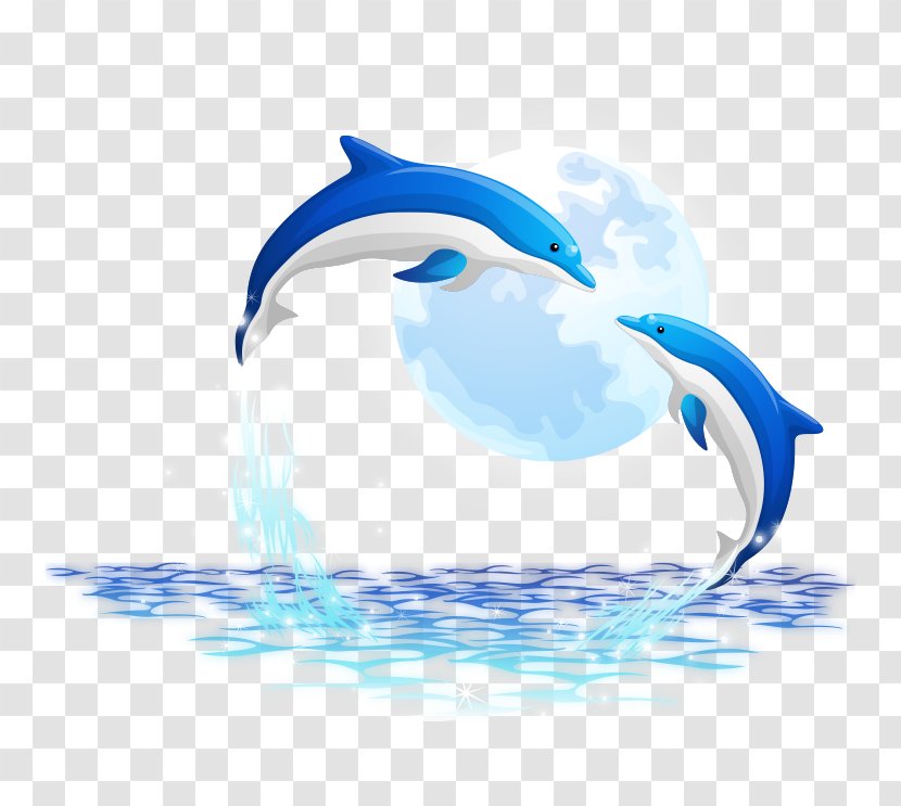 Oceanic Dolphin - Illustration Transparent PNG