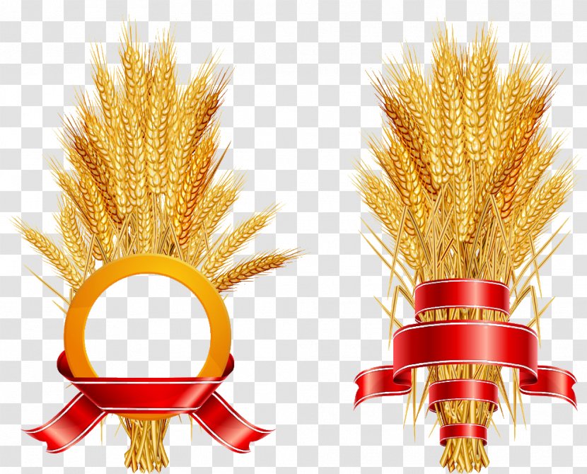 Common Wheat Logo Ear - Rice Transparent PNG