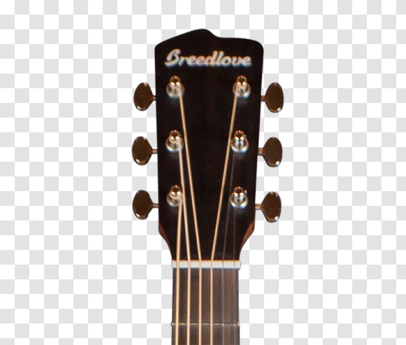 Acoustic Guitar Dreadnought Acoustic-electric - Cartoon Transparent PNG