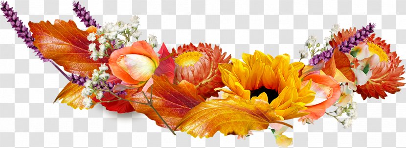 Desktop Wallpaper Common Sunflower Autumn Picture Frames - Computer - Flower Transparent PNG