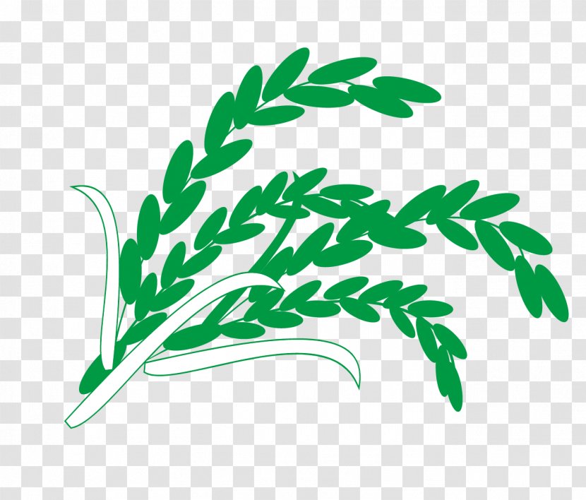 Rice Wheat - Artworks - Vector And Transparent PNG