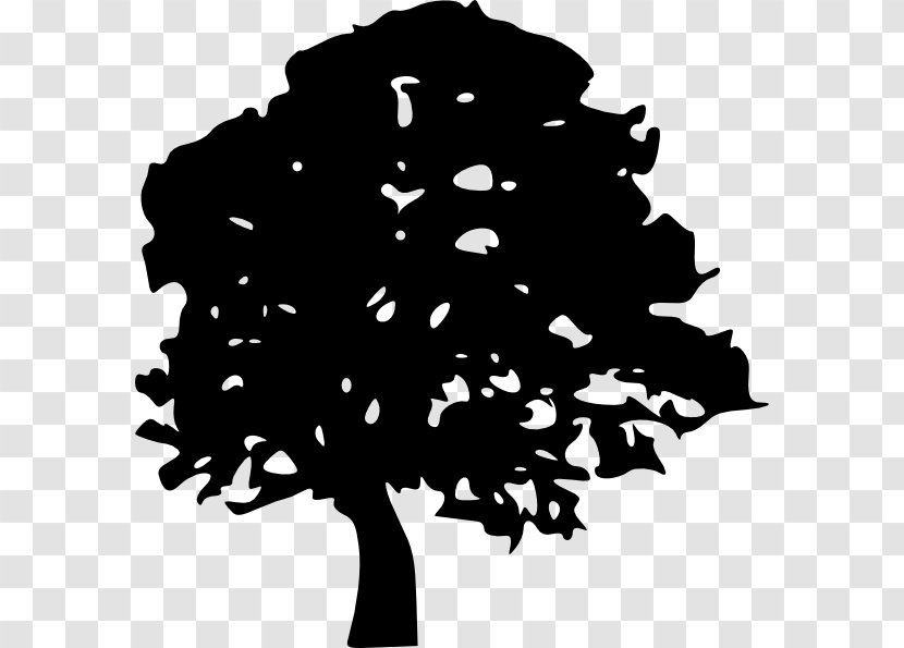 Tree Oak Clip Art - Root Transparent PNG