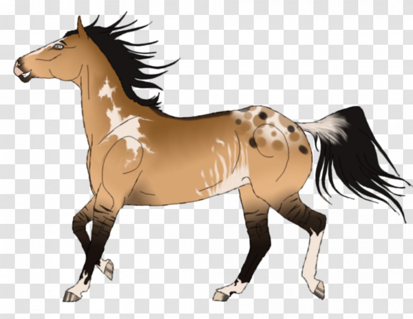 Mane Stallion Mustang Mare Colt Transparent PNG