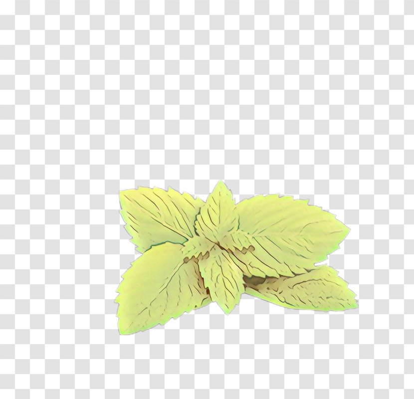 Green Leaf Yellow Plant Flower - Cartoon - Petal Transparent PNG