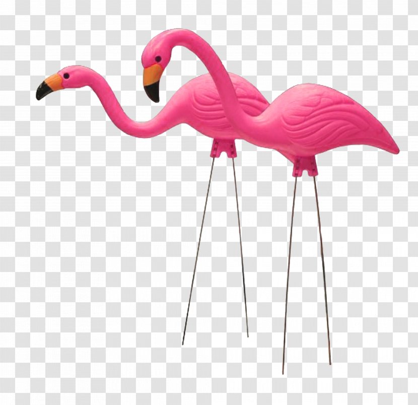 Plastic Flamingo United States Lawn Ornaments & Garden Sculptures Ornament - Bird Transparent PNG