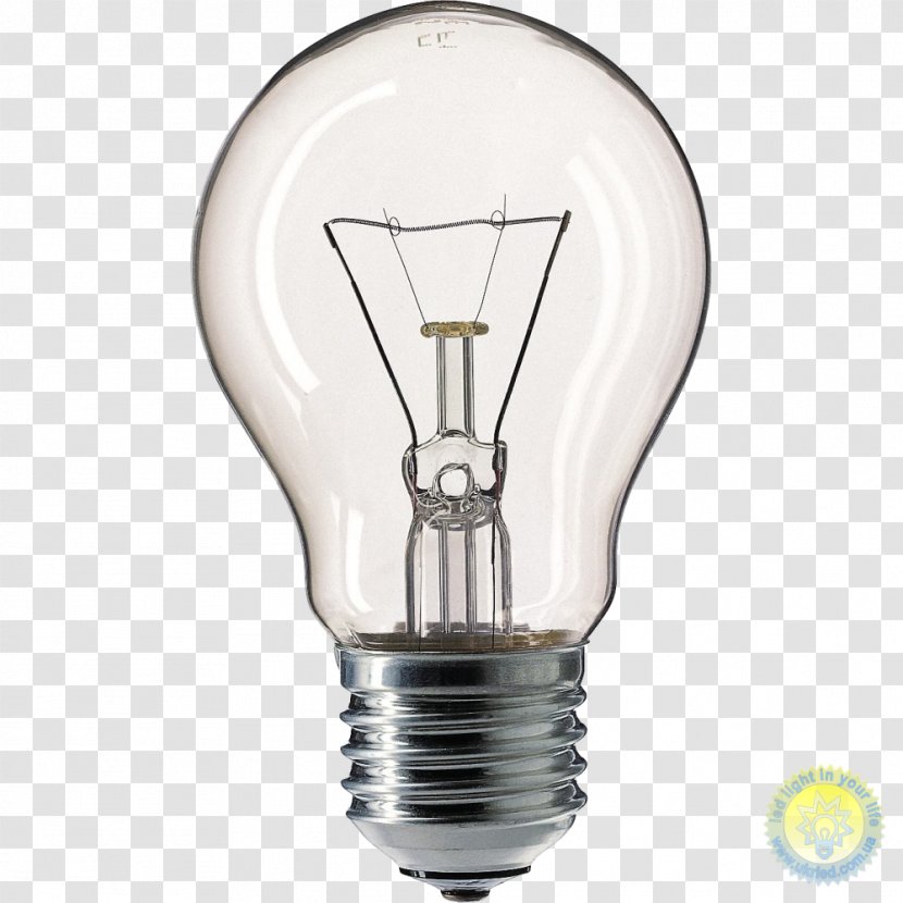 Incandescent Light Bulb Edison Screw Lighting Lamp - Electric - IDEA Transparent PNG