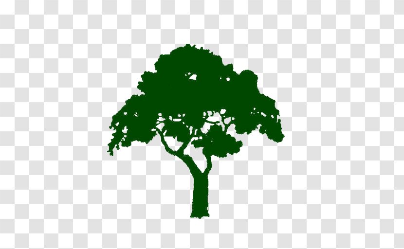 Logo Tree Oak - Company Transparent PNG