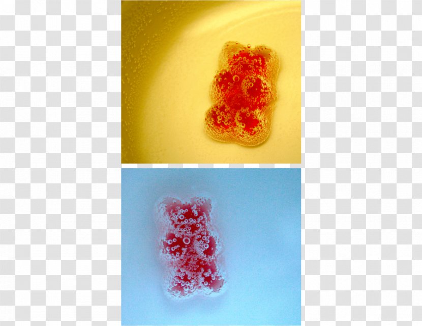 Gummi Candy - Gummy Bears Transparent PNG