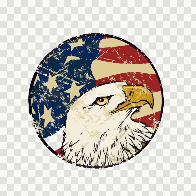 Flag Of The United States Bald Eagle - Hand-painted American Decorative Background Transparent PNG