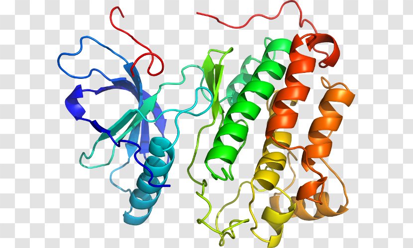 Epidermal Growth Factor Receptor Sequence Clip Art - Tree - Line Transparent PNG