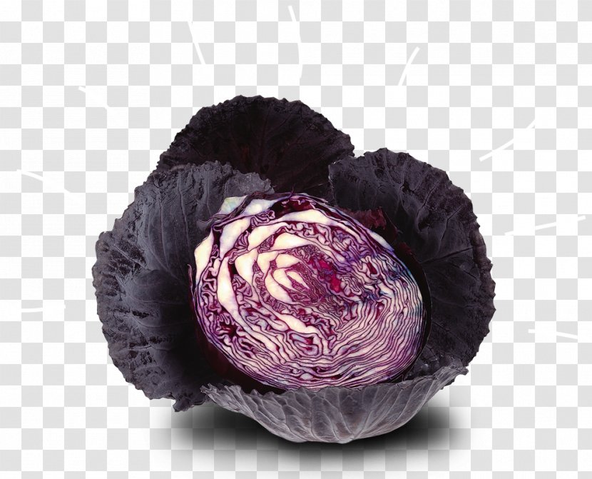 Vegetable Stamppot Red Cabbage Juice Kool-Aid Transparent PNG