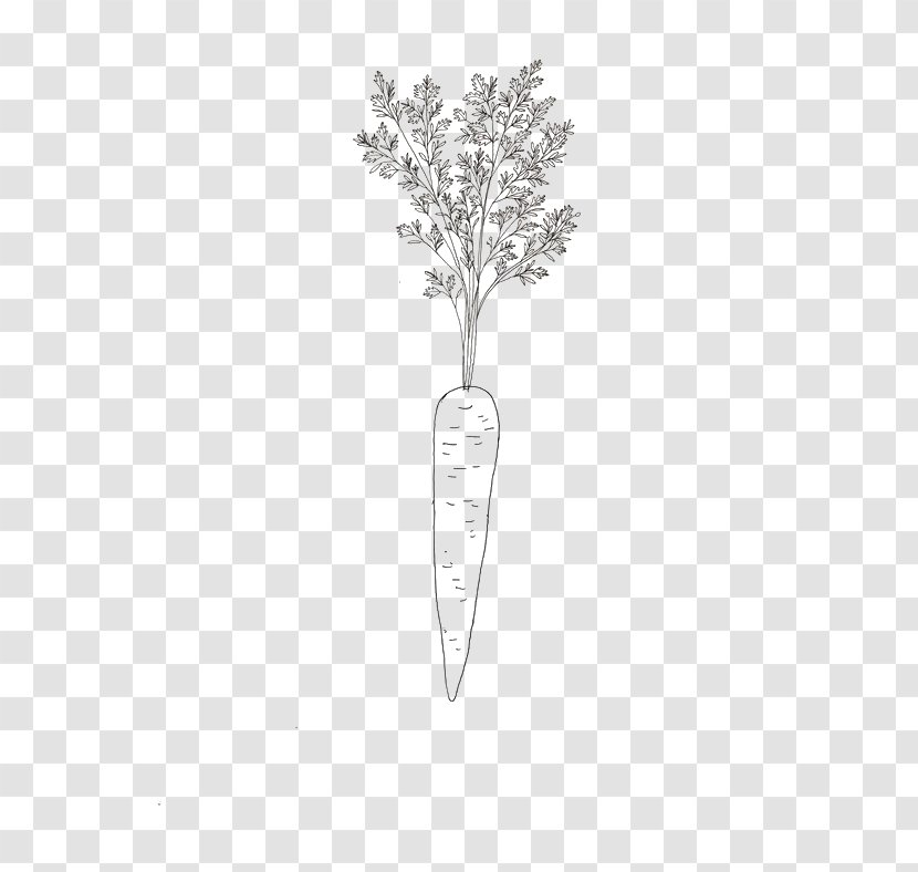Carrot Drawing - Tree - Cartoon Transparent PNG