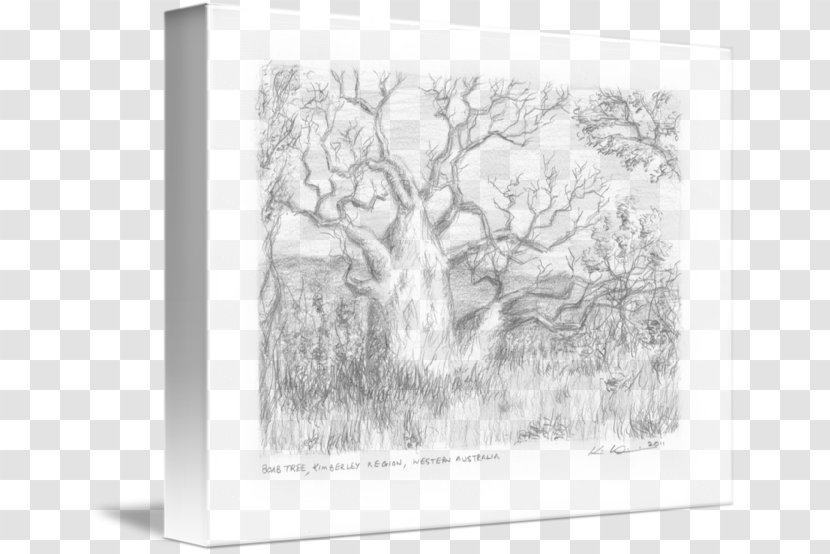 Sketch Paper Picture Frames Tree Image - Flower Transparent PNG