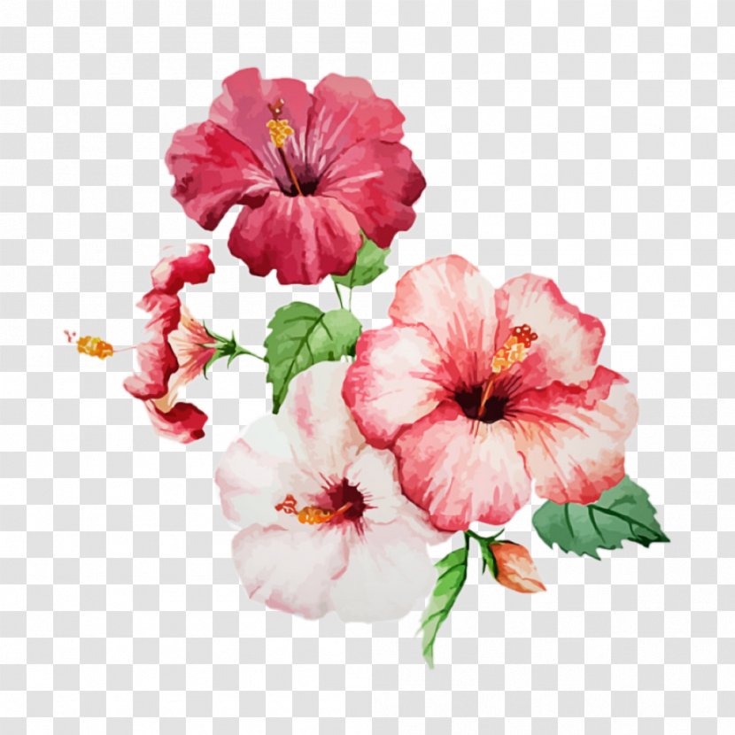 Flower Flowering Plant Petal Pink Hawaiian Hibiscus - Petunia Watercolor Paint Transparent PNG
